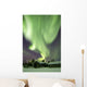 Aurora Borealis and Big Wall Decal Design 4