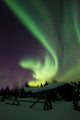 Aurora Borealis and Big Wall Decal Design 3