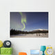 Aurora Borealis over Mountain Wall Decal Design 9
