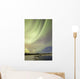 Aurora Borealis over Creek Wall Decal Design 8