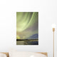 Aurora Borealis over Creek Wall Decal Design 8