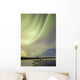 Aurora Borealis over Creek Wall Decal Design 8