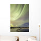 Aurora Borealis over Creek Wall Decal Design 8
