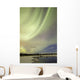 Aurora Borealis over Creek Wall Decal Design 8