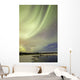 Aurora Borealis over Creek Wall Decal Design 8