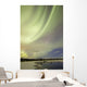 Aurora Borealis over Creek Wall Decal Design 8