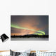 Aurora Borealis Fish Lake Wall Decal Design 3