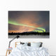 Aurora Borealis Fish Lake Wall Decal Design 3