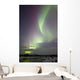 Aurora Borealis over Creek Wall Decal Design 5