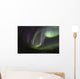 Aurora Borealis Fish Lake Wall Decal Design 2