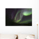 Aurora Borealis Fish Lake Wall Decal Design 2