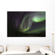 Aurora Borealis Fish Lake Wall Decal Design 2