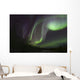 Aurora Borealis Fish Lake Wall Decal Design 2