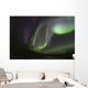Aurora Borealis Fish Lake Wall Decal Design 2