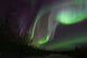 Aurora Borealis Fish Lake Wall Decal Design 2
