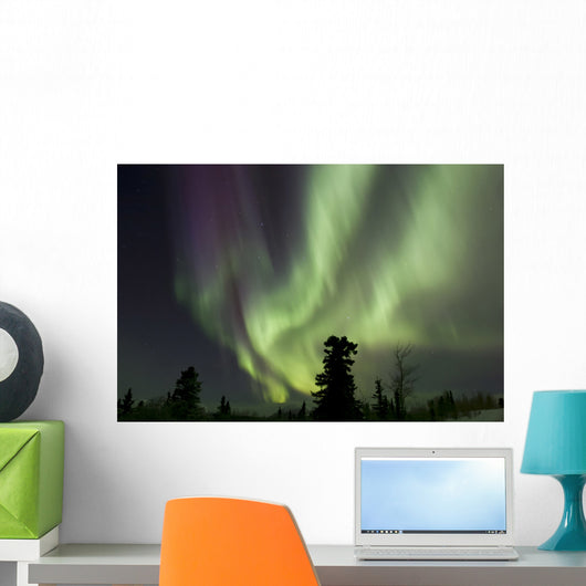 Aurora Borealis Wall Decal