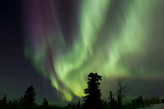 Aurora Borealis Wall Decal