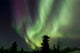 Aurora Borealis Wall Decal