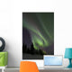 Aurora Borealis Fish Lake Wall Decal Design 1
