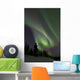 Aurora Borealis Fish Lake Wall Decal Design 1