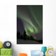 Aurora Borealis Fish Lake Wall Decal Design 1