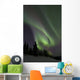 Aurora Borealis Fish Lake Wall Decal Design 1
