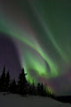 Aurora Borealis Fish Lake Wall Decal Design 1