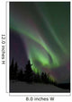 Aurora Borealis Fish Lake Wall Decal Design 1