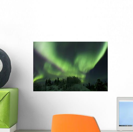 Aurora Borealis Takes Flight Wall Decal