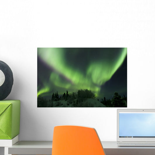 Aurora Borealis Takes Flight Wall Decal