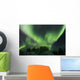 Aurora Borealis Takes Flight Wall Decal