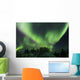 Aurora Borealis Takes Flight Wall Decal