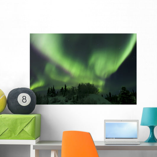 Aurora Borealis Takes Flight Wall Decal