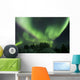 Aurora Borealis Takes Flight Wall Decal