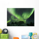 Aurora Borealis Takes Flight Wall Decal