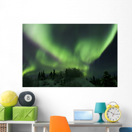 Aurora Borealis Takes Flight Wall Decal