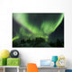 Aurora Borealis Takes Flight Wall Decal