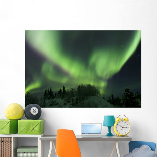 Aurora Borealis Takes Flight Wall Decal