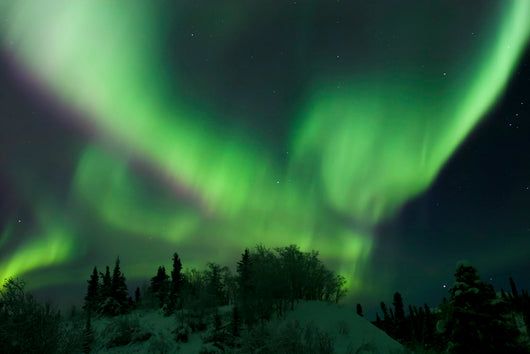 Aurora Borealis Takes Flight Wall Decal