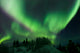 Aurora Borealis Takes Flight Wall Decal