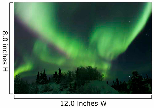 Aurora Borealis Takes Flight Wall Decal