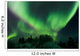 Aurora Borealis Takes Flight Wall Decal
