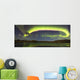 Aurora Borealis with Moonlight Wall Decal Design 13