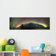 Aurora Borealis with Trees Wall Decal Design 5