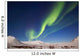 Aurora Borealis with Moonlight Wall Decal Design 7