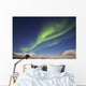 Aurora Borealis with Moonlight Wall Decal Design 4
