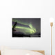 Aurora Borealis over Carcross Wall Decal Design 3