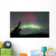 Red and Green Aurora Wall Decal Design 3