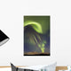 Aurora Borealis over Emerald Wall Decal Design 2