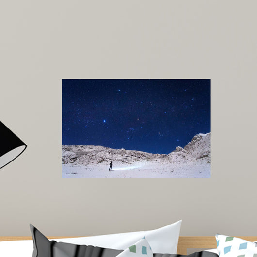 Winter Constellations above Himalayas Wall Decal